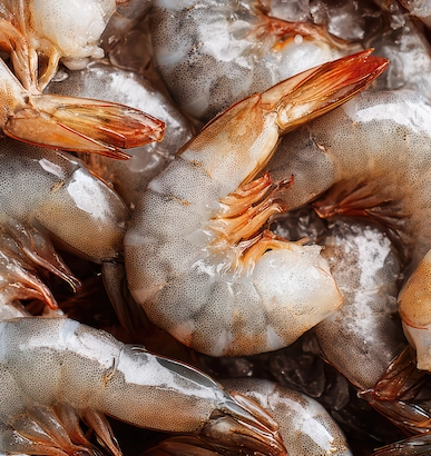 close up fresh raw shrimp ready cooking